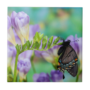 Een monarchvlinder Danaus Plexippus Tegeltje