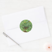 Een monarchvlindersticker ronde sticker (Envelop)