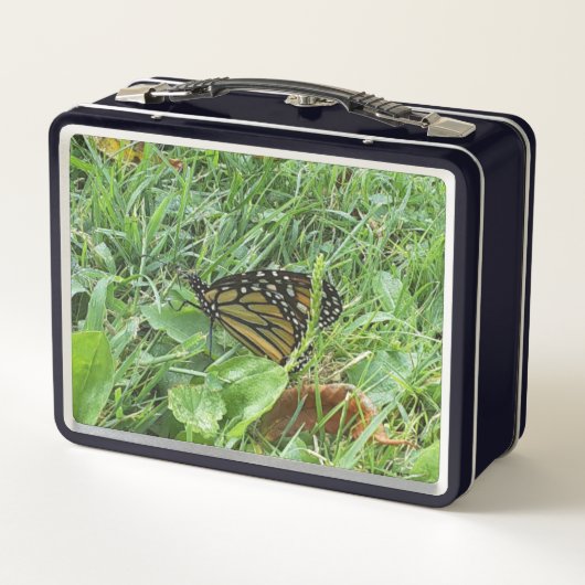 Een Monboogvlinder (Achterkant)