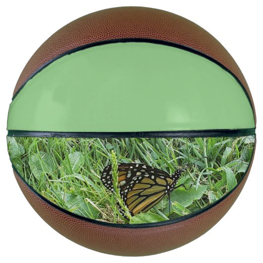 Een Monboogvlinder Basketbal (Voorkant)