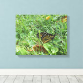 Een Monboogvlinder Canvas Afdruk (Insitu (Houten vloer))