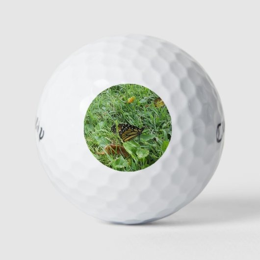 Een Monboogvlinder Golfballen (Voorkant)