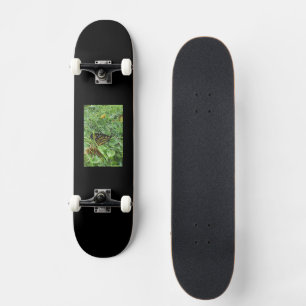 Een Monboogvlinder Persoonlijk Skateboard