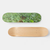 Een Monboogvlinder Persoonlijk Skateboard (Horizontaal)