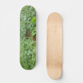 Een Monboogvlinder Persoonlijk Skateboard (Voorkant)