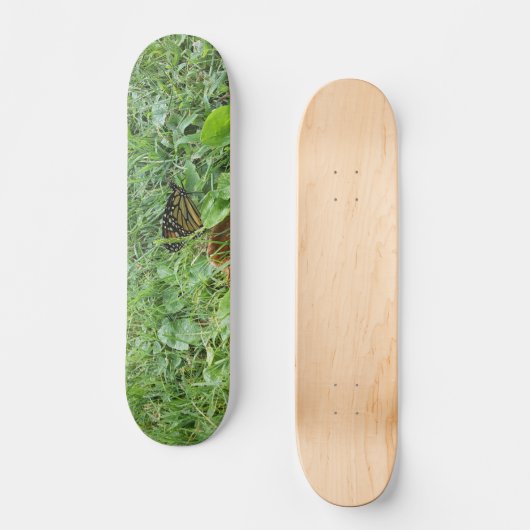 Een Monboogvlinder Persoonlijk Skateboard (Voorkant)