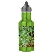 Een Monboogvlinder Waterfles (Links)