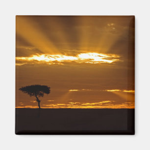 Een mond-openende zonsopgang in de Maasai Mara Magneet