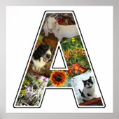 Een monogram Creëer Uw Eigen 6 Aangepaste Foto Col Poster (Voorkant)