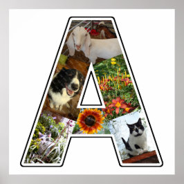 Een monogram Creëer Uw Eigen 6 Aangepaste Foto Col Poster