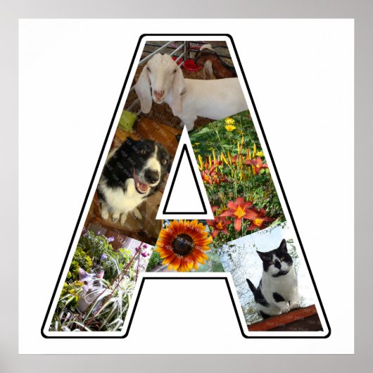 Een monogram Creëer Uw Eigen 6 Aangepaste Foto Col Poster (Voorkant)