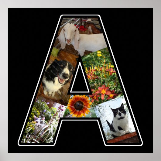 Een monogram Creëer Uw Ewn 6 Foto Collage Black Poster (Voorkant)