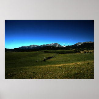 Een Montana Cattle Drive Poster
