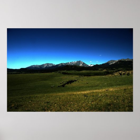 Een Montana Cattle Drive Poster (Voorkant)