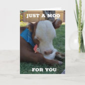EEN MOO EN EEN WENS VOOR "UW GROTE DAG" KAART (Voorkant)