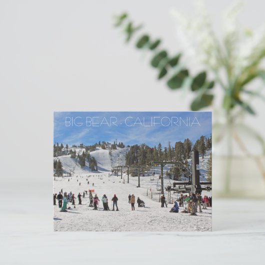 Een mooi Briefkaart van een groot Beer! (Staand voorkant)