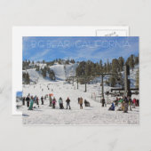 Een mooi Briefkaart van een groot Beer! (Voorkant / Achterkant)