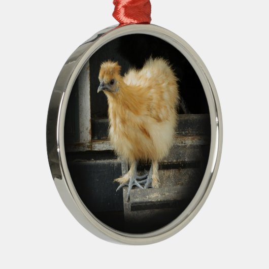 een mooi Silkie Bantam Chicken afbeelding. Metalen Ornament (Rechts)