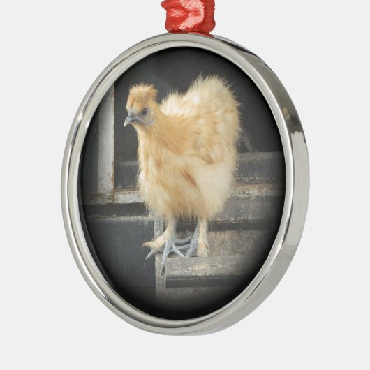 een mooi Silkie Bantam Chicken afbeelding. Metalen Ornament (Links)