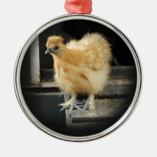een mooi Silkie Bantam Chicken afbeelding. Metalen Ornament