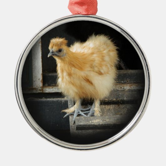 een mooi Silkie Bantam Chicken afbeelding. Metalen Ornament (Voorkant)