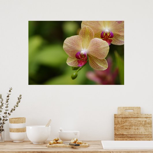 Een mooi stel poster (Keuken)