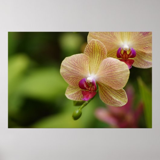 Een mooi stel poster (Voorkant)