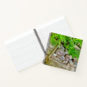 Een mooi tijdschrift met natuur en rommel notitieboek (Binnen)