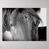 Een mooi zicht poster (Voorkant)