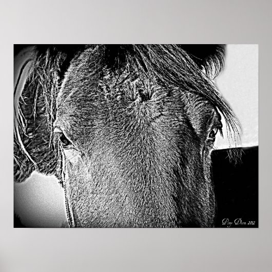 Een mooi zicht poster (Voorkant)