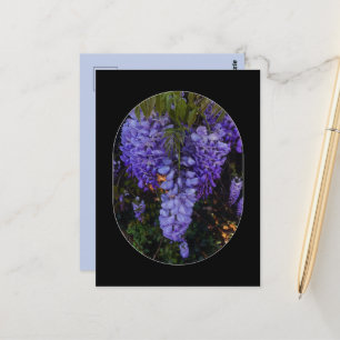 een mooie aanraking van de natuur  briefkaart
