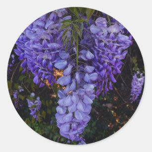 een mooie aanraking van de natuur ronde sticker