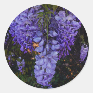 een mooie aanraking van de natuur ronde sticker