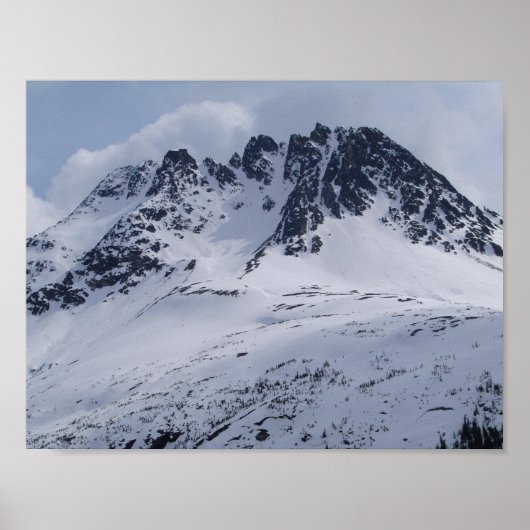 Een mooie Alaska-bergscène! Poster (Voorkant)