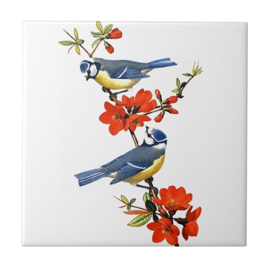 Een mooie boom bloeit rode bloemen tegeltje (Voorkant)