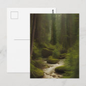 Een mooie bosstroom briefkaart (Voorkant / Achterkant)