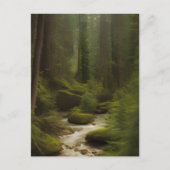 Een mooie bosstroom briefkaart (Voorkant)