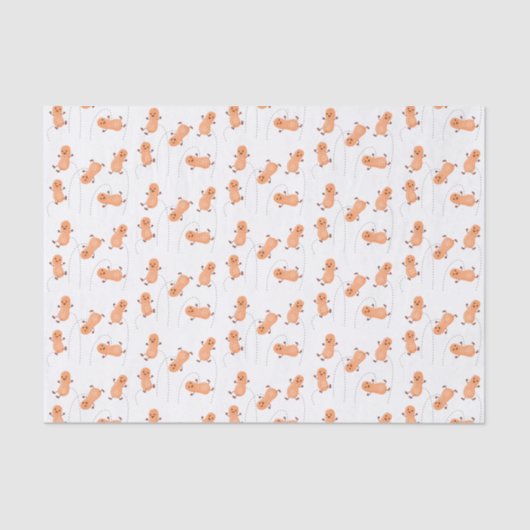 Een mooie cartoon van een pinda's tissuepapier (Voorkant)