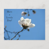 Een mooie dag! briefkaart White Magnolia Spring (Voorkant)