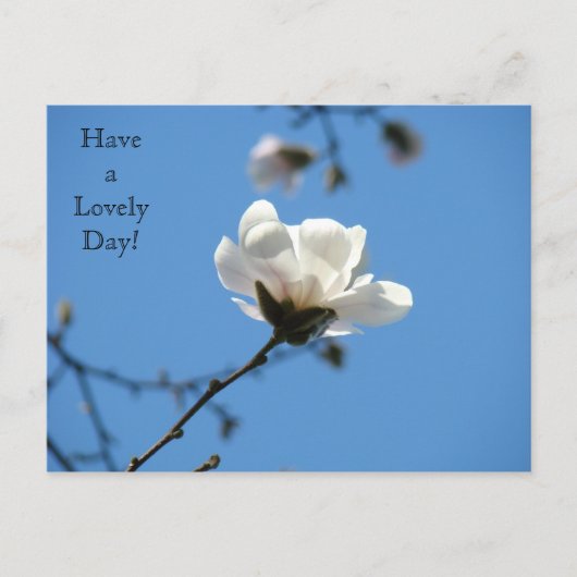 Een mooie dag! briefkaart White Magnolia Spring (Voorkant)