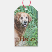 Een mooie dag. cadeaulabel (Voorkant)