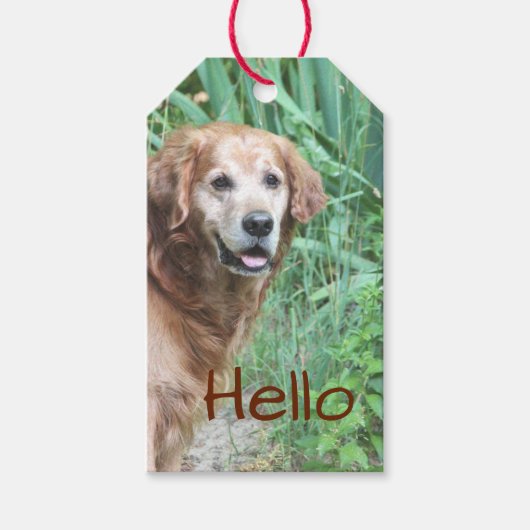 Een mooie dag. cadeaulabel (Voorkant)