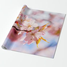 Een mooie doos Sakura-bloemen op roze achtergrond Cadeaupapier