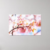 Een mooie doos Sakura-bloemen op roze achtergrond Canvas Afdruk (Voorkant)