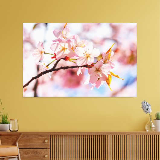 Een mooie doos Sakura-bloemen op roze achtergrond Canvas Afdruk (Insitu (Woonkamer))