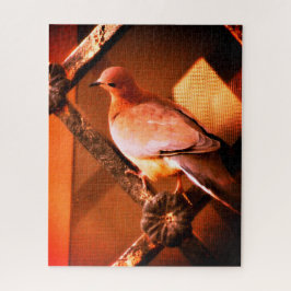 Een mooie duif legpuzzel