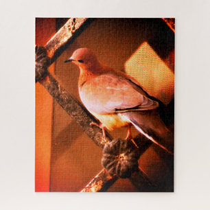 Een mooie duif legpuzzel