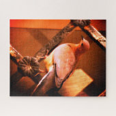 Een mooie duif legpuzzel (Horizontaal)