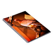 Een mooie duif notitieboek (Rechterzijde)