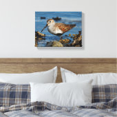 Een mooie Dunlin Goes Solo Canvas Afdruk (Insitu (Slaapkamer))